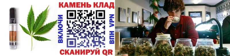 дарнет шоп  Гвардейск  Cannafood конопля 